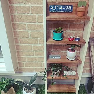 玄関/入り口/セリア/フラワースタンド/観葉植物/多肉植物...などのインテリア実例 - 2016-03-05 17:56:57