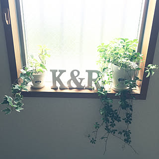 観葉植物 小窓ディスプレイのインテリア実例 Roomclip ルームクリップ