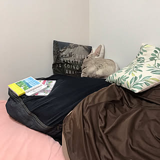 無印良品 ベッド 枕はたくさんじゃなきゃダメのまとめページ Roomclip ルームクリップ