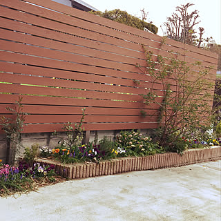 アンデスの乙女のインテリア実例 Roomclip ルームクリップ