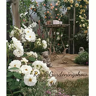 ベッド周り/お花ばかりですみません/コメントはお気遣いなく(^^)/自分の庭ではありません/国際バラとガーデニングショウ2017のインテリア実例 - 2017-05-12 22:16:05