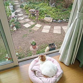 玄関/入り口/物語のある暮らし/物語に憧れる/窓からの眺め/窓から見える庭...などのインテリア実例 - 2020-01-13 15:11:20