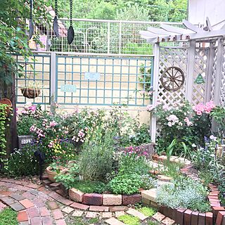 玄関/入り口/植物/花/ガーデニング/手作りの庭...などのインテリア実例 - 2016-05-27 19:48:56