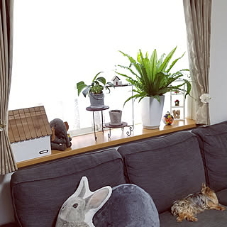 出窓カーテンのインテリア実例 Roomclip ルームクリップ