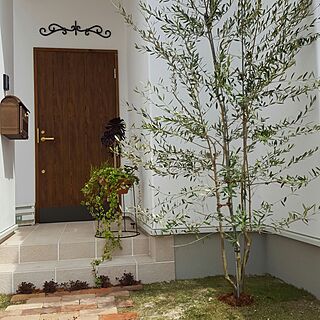 玄関/入り口/北欧/新居/壁飾り/オリーブの木...などのインテリア実例 - 2017-04-25 10:23:44