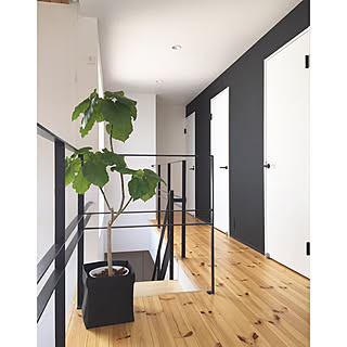 黒壁のインテリア実例 Roomclip ルームクリップ