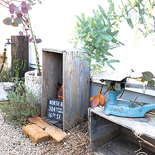 玄関/入り口/りんご箱/ユーカリ/ミモザ/アンティークレンガ...などのインテリア実例 - 2018-01-08 15:11:41