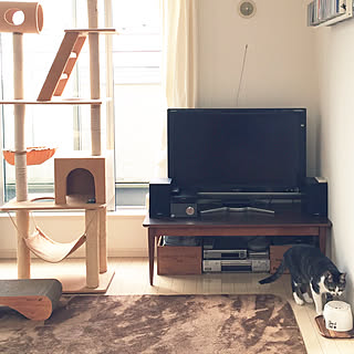 セリア Seria 吉祥寺のまとめページ Roomclip ルームクリップ