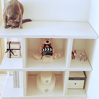 猫のひげのインテリア実例 Roomclip ルームクリップ