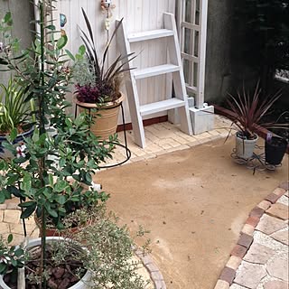 玄関 入り口 ガーデニングオーナメントのインテリア実例 Roomclip ルームクリップ