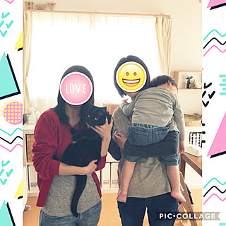 部屋全体/これ、インテリア……写ってる!写ってる!/RC大分支部/狭小住宅/保護ねこ部...などのインテリア実例 - 2018-04-16 21:37:00