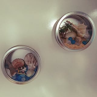 100均 サンゴ砂の商品を使ったおしゃれなインテリア実例 Roomclip ルームクリップ