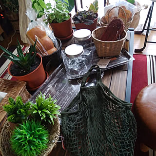机/狭い家/観葉植物のある暮らし/夫婦共働き忙しい***/ほっこり*...などのインテリア実例 - 2018-06-08 17:33:12