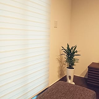 キノコ生えた のインテリア実例 Roomclip ルームクリップ キノコ生えた のインテリア実例 Roomclip ルームクリップ