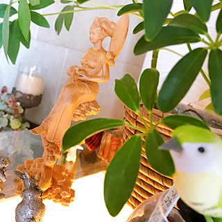 神々しいのインテリア実例 Roomclip ルームクリップ