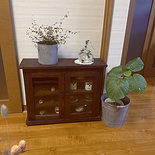 ブリキバケツ/ウンベラータ成長中/ハートカズラの水挿し/スペードワイヤープランツ/お気に入りの器たち...などのインテリア実例 - 2020-04-08 21:55:15