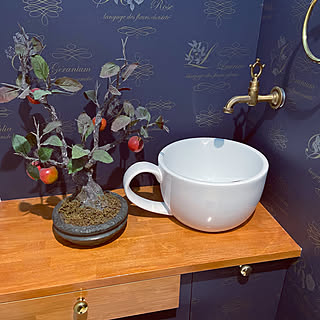 アンティーク 白雪姫のインテリア実例 Roomclip ルームクリップ アンティーク 白雪姫のインテリア実例 Roomclip ルームクリップ