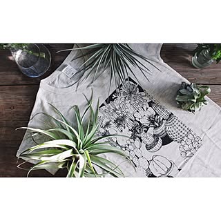 机/Tシャツ/ボタニカル/onthetable/flower...などのインテリア実例 - 2015-05-01 18:00:08