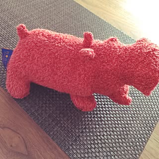 ヒポポタマスのインテリア実例 Roomclip ルームクリップ