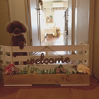 Diy ドックフェンスのインテリア 手作りの実例 Roomclip ルームクリップ