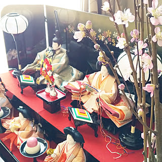 女性の、Other、家族住まいの「リビング」についてのインテリア実例