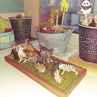 リビング/観葉植物/動物園/100均/ダイソー...などのインテリア実例 - 2020-02-25 06:17:22