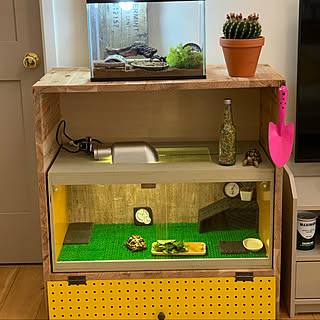 リビング リクガメ用ラックのおしゃれなインテリアコーディネート レイアウトの実例 Roomclip ルームクリップ