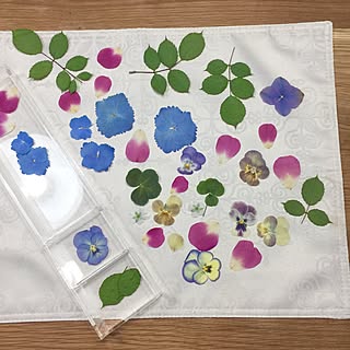 机/綺麗に出来た!/初めての/綺麗/押し花...などのインテリア実例 - 2017-06-04 08:04:23