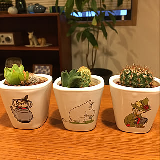 リビング/北欧/北欧雑貨/かわいい/北欧インテリア...などのインテリア実例 - 2019-04-29 20:06:09