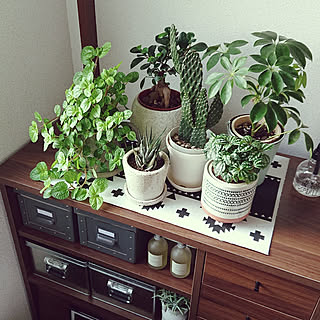 Cdn Roomclip Jp V1 3 Roomclip Bucket Img 3