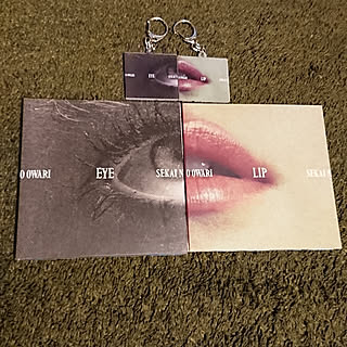 部屋全体/取り敢えず/いつも、いいねありがとうでやんす⤴/sekai no owari/アルバムのインテリア実例 - 2019-02-26 22:48:01