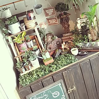 玄関/入り口/かわりばえしない投稿すみません。/100枚目♡/押し逃げばかりでごめん( ノдヾ)/築39年...などのインテリア実例 - 2016-06-26 18:36:45