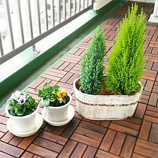 玄関/入り口/ベランダガーデン計画/ナチュラル/今週のお花/花のある暮らし...などのインテリア実例 - 2016-10-30 17:09:44