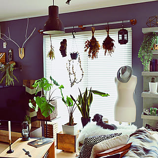 リビング/インダストリアル/BOHO/NO GREEN NO LIFE/全てDIY...などのインテリア実例 - 2018-08-12 09:07:55