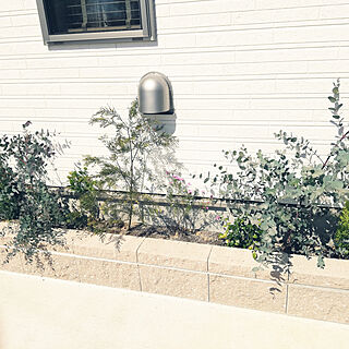 ブルーベリー 花壇 手作りのインテリア実例 Roomclip ルームクリップ