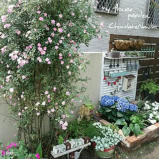 玄関/入り口/お花のある暮らし/いいね&コメントいつもアリガトウ♡/フォローして頂きありがとうございます!/RCでの素敵な出逢いに感謝❤...などのインテリア実例 - 2017-05-21 11:06:42