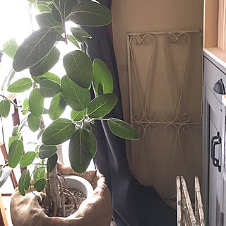 麻の鉢カバーのインテリア実例 Roomclip ルームクリップ