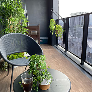 観葉植物 マンションベランダのインテリア実例 Roomclip ルームクリップ 観葉植物 マンションベランダのインテリア実例 Roomclip ルームクリップ