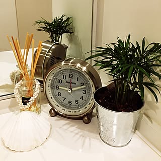 バス/トイレ/観葉植物/サーファーズハウス/観葉植物のある暮らし/アウトドア...などのインテリア実例 - 2016-10-07 21:14:58