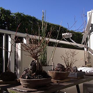 手造りのお庭のインテリア実例 - 2013-01-23 09:13:39