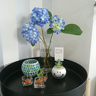 Ikea にんじんのインテリア実例 Roomclip ルームクリップ