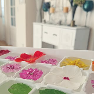 フラワーインテリア/氷作り/エディブルフラワーで氷作り/夏の風物詩/氷部...などのインテリア実例 - 2016-07-20 13:03:18