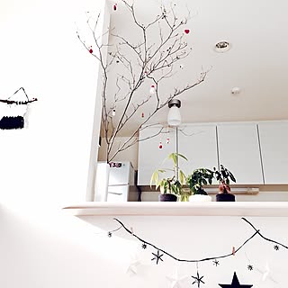 枯れ枝 ドウダンツツジの枝のインテリア実例 Roomclip ルームクリップ