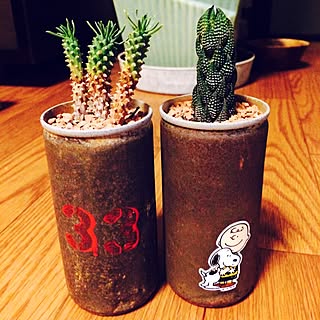 玄関/入り口/九輪塔/蜘蛛切丸/ゾロ目ナンバーのサビ缶/初めてのロウルサンコ☻...などのインテリア実例 - 2014-09-21 21:52:40