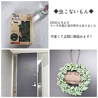 虫こないもんのインテリア実例 Roomclip ルームクリップ