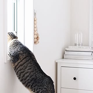 ベッド周り/無印良品/モノトーン/ミニマル/シンプル...などのインテリア実例 - 2016-02-23 06:29:58