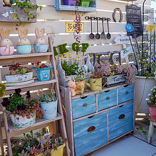 Instagram→r_6cafe/ありがとうございます(⋆ᵕᴗᵕ⋆).+*/ガーデニング/多肉植物/ナチュラルガーデン...などのインテリア実例 - 2020-02-24 20:56:24