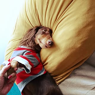 女性の、3LDK、の「部屋全体」についてのインテリア実例