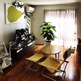 リビング/イエロー/雑貨/テレビ/静岡県民...などのインテリア実例 - 2017-10-11 09:25:49