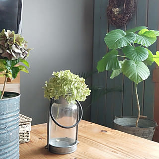 グレーの壁紙 Diy リメイクのインテリア 手作りの実例 Roomclip ルームクリップ